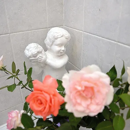 Le Corniole 3* ארצו